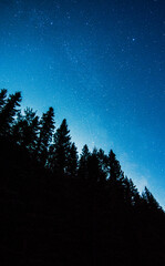 milky way landscape with trees