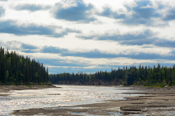 forest in north canada