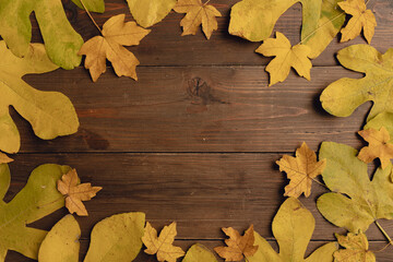 Naklejka na ściany i meble Yellow autumn leaves on wooden dark natural wood. Autumn background