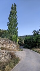 road in the mountains
