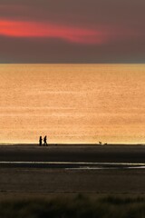 Naklejka na ściany i meble Silhouette shot on the beach at sunset