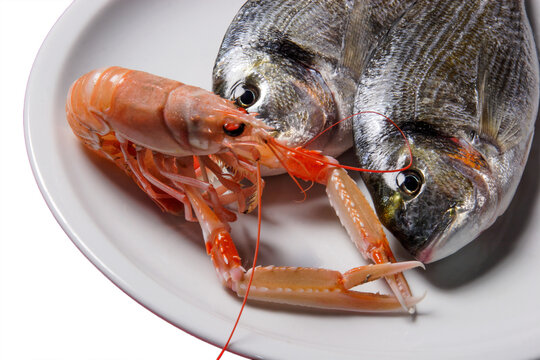 fish and shrimp on the plate, png file