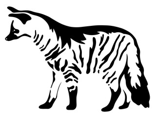 aardwolf vector illustration