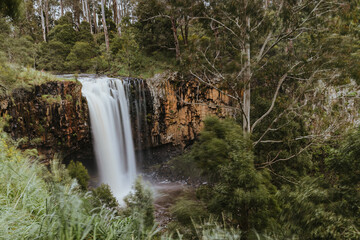 Trentham Falls in Victoria Australia - waterfall framed with Australian bush and greenery