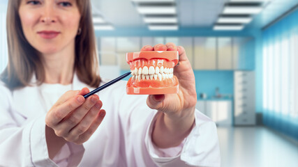 Woman dentist. Doctor dental clinic. Girl points with pen to denture. Visual aid for dentists. Woman dentist with jaws model. Concept of study of gum health. Model of teeth and gums. Selective focus