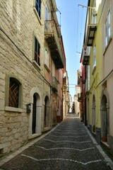 Fototapeta na wymiar The italian village of Frosolone.