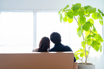 Fototapeta ソファに座り寄り添う後ろ姿の夫婦-明るい観葉植物のあるリビング obraz