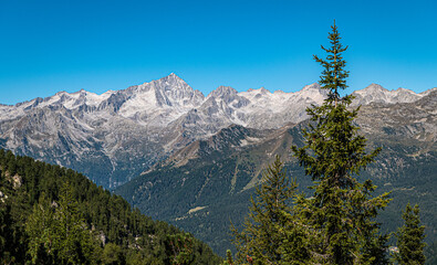 Fototapeta na wymiar Mountain landscape in summer in Western Dolomites (Dolomiti di Brenta) - Vallesinella - Madonna di Campiglio, Trentino Alto Adige, northern Italy - Europe