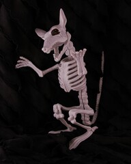 Vertical shot of a fake spooky rat skeleton for Halloween isolated on an empty black background