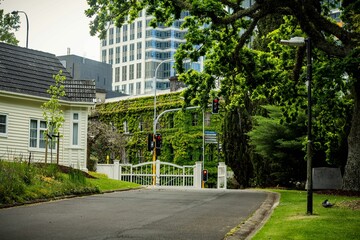 Asphalt driveway with traffic lights surrounded by trees