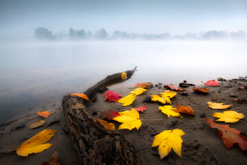 Autumn. Foggy morning at the Bagry lake in Krakow. Colorful leaves. 
Jesień. Mglisty poranek nad jeziorem Bagry w Krakowie. Kolorowe - czerwone i żółte liście, barwy jesieni. Polska