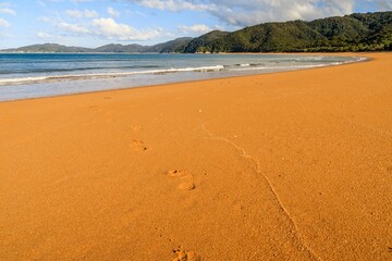 Beautiful beach at the Abel Tasman National Park, New Zealand