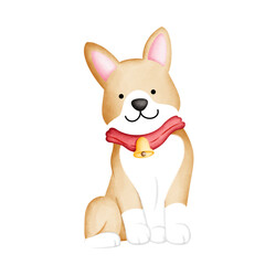 Corgi dog with Christmas red scarf and gold bell watercolor illustration on transparent background