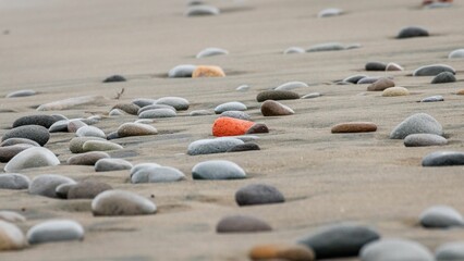 Fototapeta na wymiar Selective focus shot of colorful rocks on the sea shore