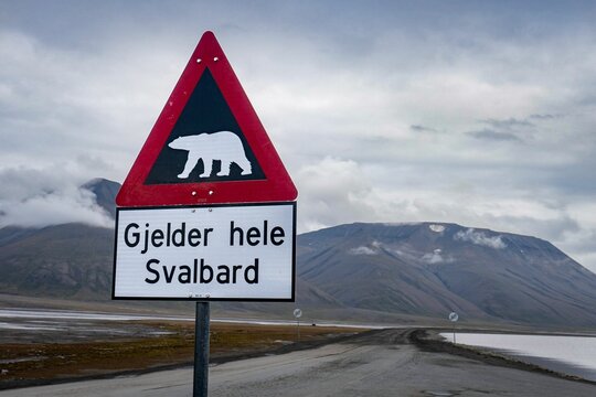 Polar bear warning sign on the outskirts of Longyearbyen in Svalbard