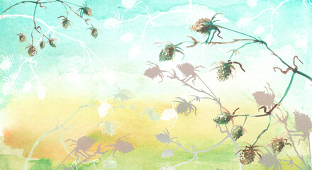 Greater burdock watercolor illustration. Vintage wild grass, flowers, plants.Stylish fashionable card, background, pattern.Watercolor paint splash. card, invitation, label,paint splash.landscape field