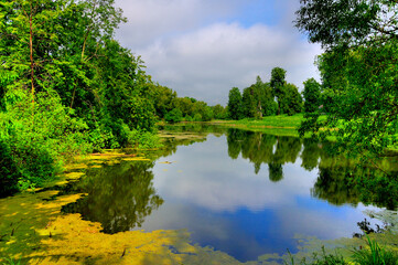 Colors of summer. View of a forest lake, on a warm summer day, Moscow region, Russia. The lake is blooming, the serene quiet summer sky. Nature is reflected in the lake. 