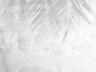 Shadows of coconut leaves on concrete wall for abstract background, wallpaper background, grunge...