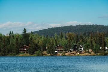 Beautiful shot of wooden houses in woodlands by a river on a sunny day