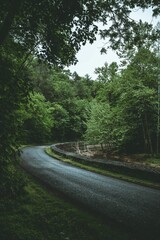Fototapeta premium Vertical shot of the country road surrounded by green vegetation.