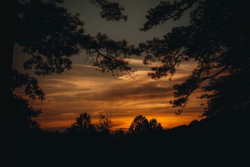 Silhouettes of tree branches against the background of the beautiful cloudy sky at sunset.
