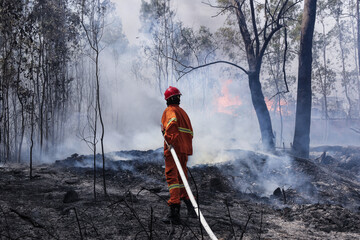 Firefighter  battle a wildfire because climate change and global warming is a driver of global wildfire trends. los angeles california