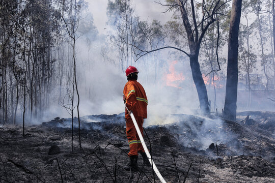 Firefighter  battle a wildfire because climate change and global warming is a driver of global wildfire trends. los angeles california