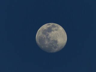 Naklejka na ściany i meble Beautiful shot of the full moon at dusk with a dark blue sky background