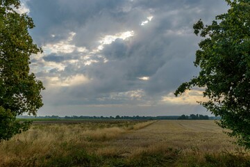 Dark clouds over a field at sunset