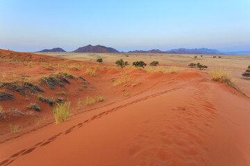 Dunes in the Namib-Naukluft National Park of Namibia.