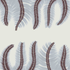 set of string a feather