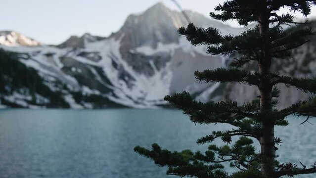 Scenic snowy mountain in the background of a lake, captured through the tree