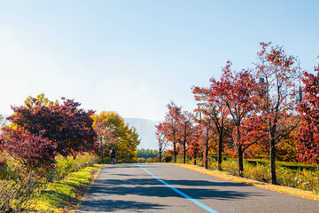 秋のサイクリングロード　信州スカイパーク