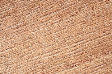 Close up of wooden texture of Cedar wood cigar box surface