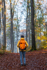 Bei Trippstadt- Karlstalschlucht-Pfalz im Herbst