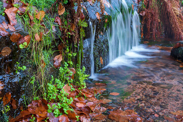 Bei Trippstadt- Karlstalschlucht-Pfalz im Herbst