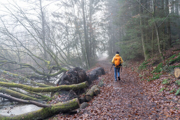 Bei Trippstadt- Karlstalschlucht-Pfalz im Herbst