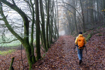 Bei Trippstadt- Karlstalschlucht-Pfalz im Herbst