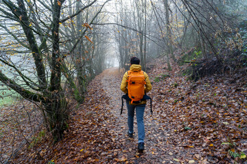 Bei Trippstadt- Karlstalschlucht-Pfalz im Herbst