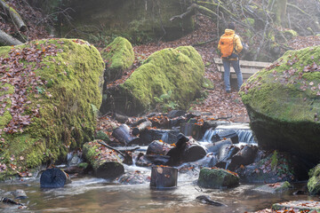Bei Trippstadt- Karlstalschlucht-Pfalz im Herbst