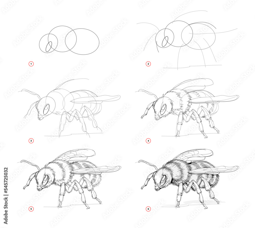 Wall mural page shows how to learn to draw sketch of bumblebee. creation step by step pencil drawing. education