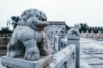Nahaufnahme des Steinlöwen der Marco-Polo-Brücke in Peking