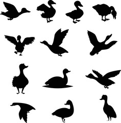 Vector illustration set black duck symbols in various shapes on white background