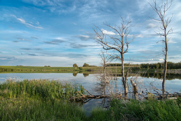 landscape with lake