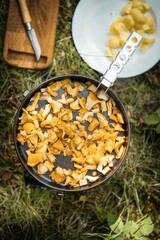 Top view of chanterelles in a pan on grass with a cutting board and a plate