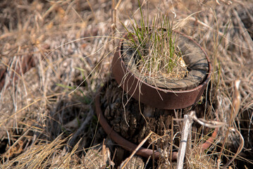 wagon wheel hub