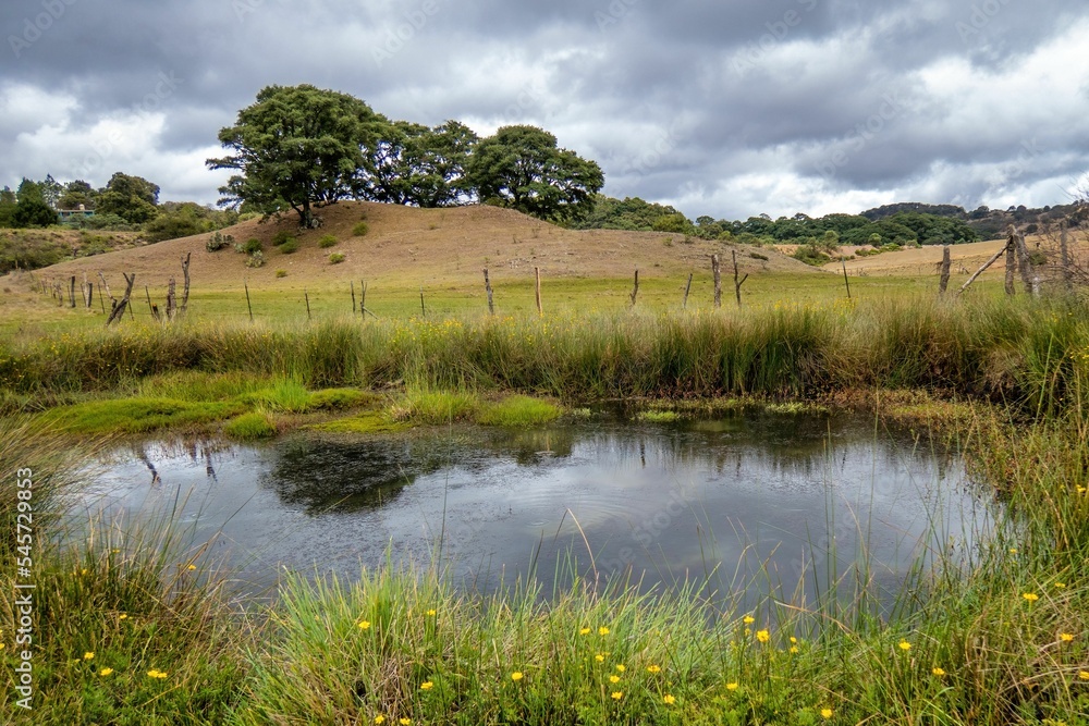 Poster Landscape of lush greenery with a reflective pond in the foreground against the moody sky