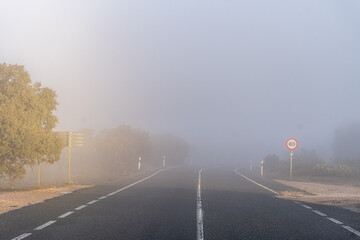 Empty road with fog at sunrise