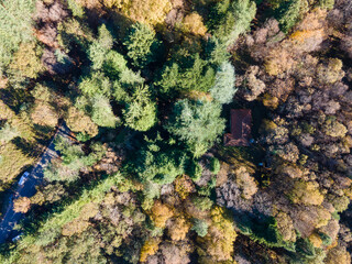 Rio de Cor - Serra da Lousã, Castanheira de Pera
Floresta Encantada