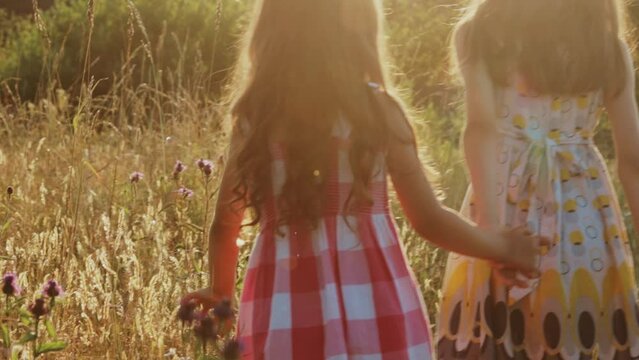 Two little girls walking through summer field